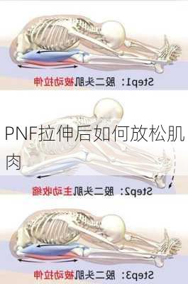 PNF拉伸后如何放松肌肉