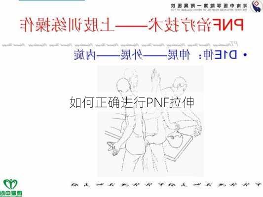 如何正确进行PNF拉伸