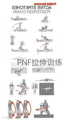 PNF拉伸训练