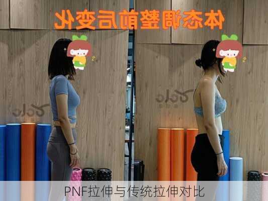 PNF拉伸与传统拉伸对比