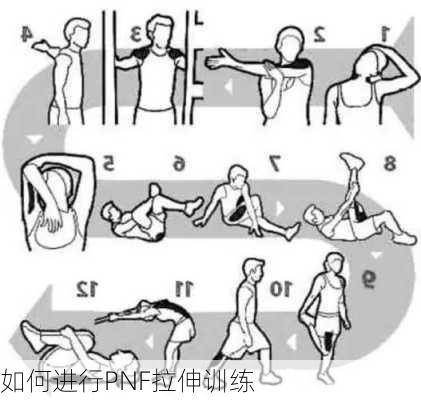 如何进行PNF拉伸训练