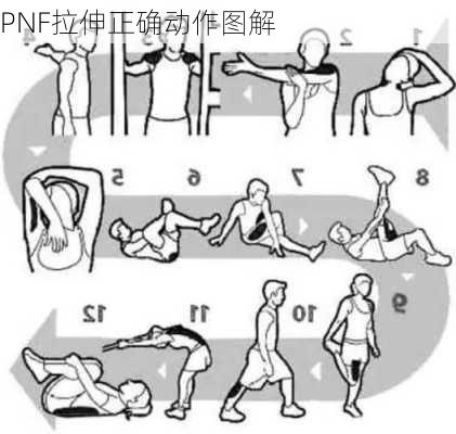 PNF拉伸正确动作图解