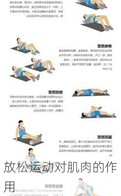 放松运动对肌肉的作用