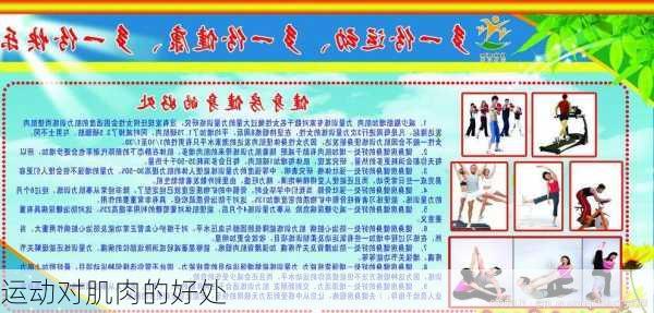 运动对肌肉的好处