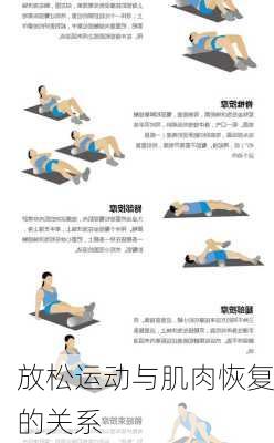 放松运动与肌肉恢复的关系