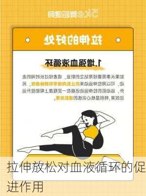 拉伸放松对血液循环的促进作用