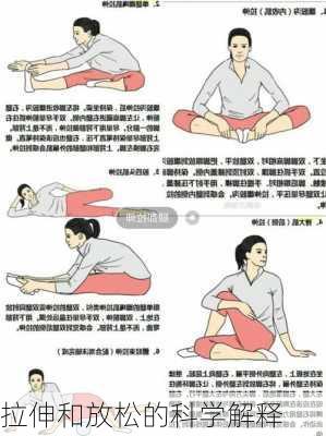 拉伸和放松的科学解释