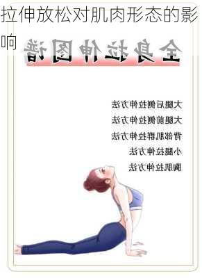 拉伸放松对肌肉形态的影响