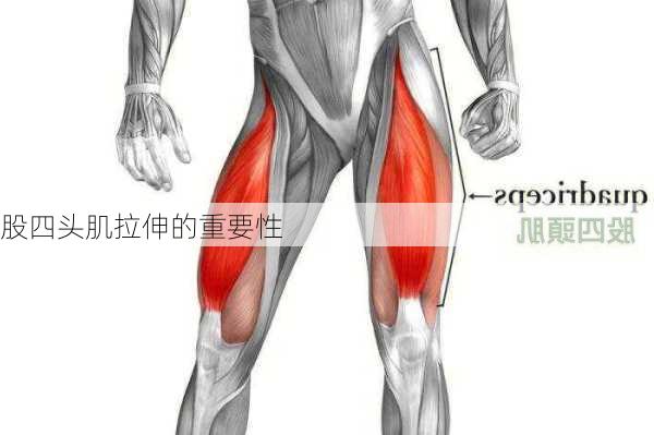 股四头肌拉伸的重要性