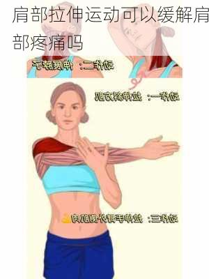 肩部拉伸运动可以缓解肩部疼痛吗