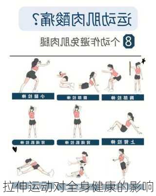 拉伸运动对全身健康的影响