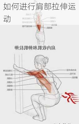 如何进行肩部拉伸运动