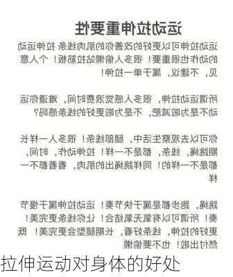 拉伸运动对身体的好处