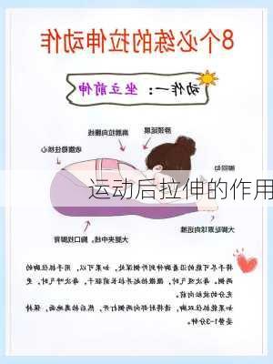 运动后拉伸的作用