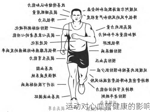 运动对心血管健康的影响