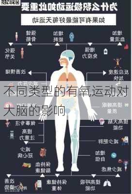 不同类型的有氧运动对大脑的影响
