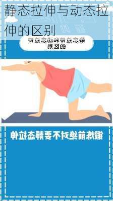 静态拉伸与动态拉伸的区别