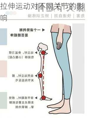 拉伸运动对不同关节的影响