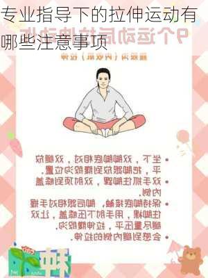 专业指导下的拉伸运动有哪些注意事项