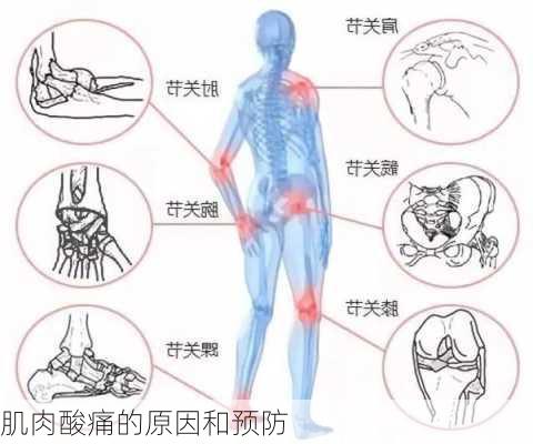 肌肉酸痛的原因和预防