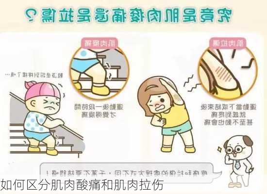 如何区分肌肉酸痛和肌肉拉伤