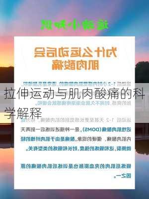 拉伸运动与肌肉酸痛的科学解释