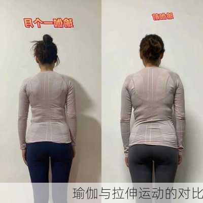 瑜伽与拉伸运动的对比
