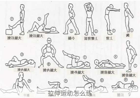 拉伸运动怎么练