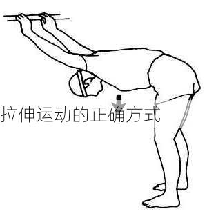 拉伸运动的正确方式