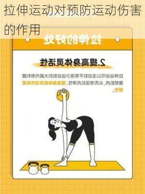 拉伸运动对预防运动伤害的作用