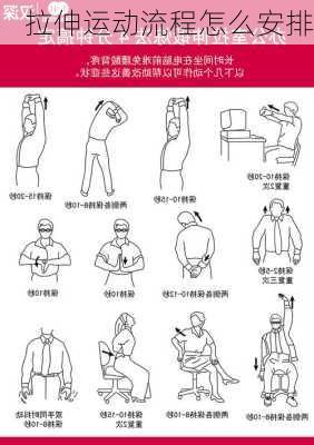 拉伸运动流程怎么安排