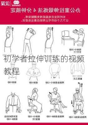 初学者拉伸训练的视频教程