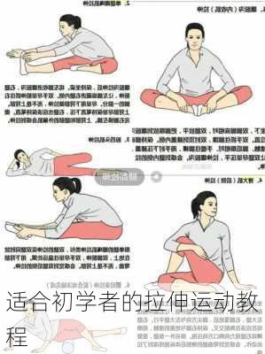 适合初学者的拉伸运动教程