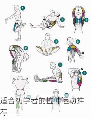 适合初学者的拉伸运动推荐