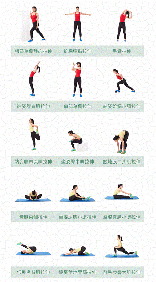 拉伸运动方法流程图