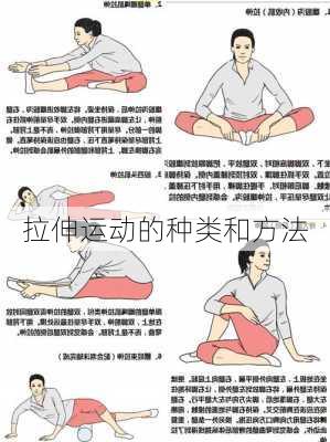 拉伸运动的种类和方法
