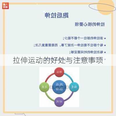 拉伸运动的好处与注意事项