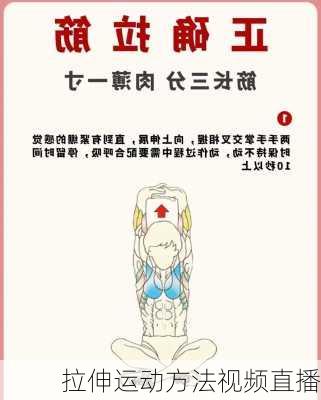 拉伸运动方法视频直播