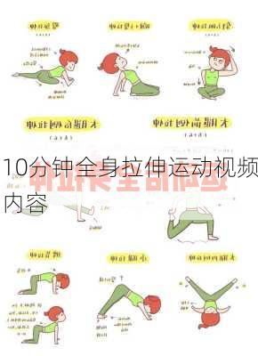 10分钟全身拉伸运动视频内容