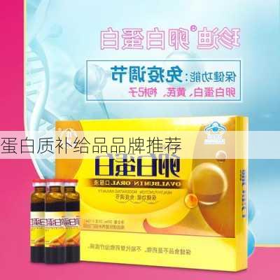 蛋白质补给品品牌推荐