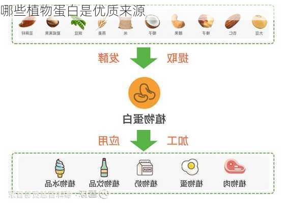 哪些植物蛋白是优质来源