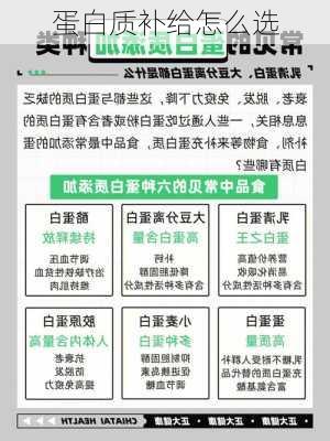 蛋白质补给怎么选