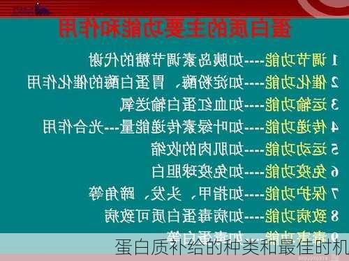 蛋白质补给的种类和最佳时机