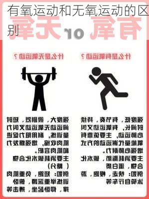 有氧运动和无氧运动的区别