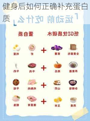 健身后如何正确补充蛋白质