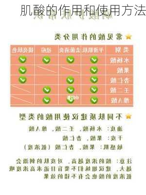 肌酸的作用和使用方法