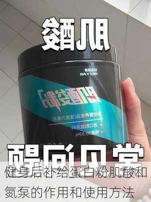 健身后补给蛋白粉肌酸和氮泵的作用和使用方法