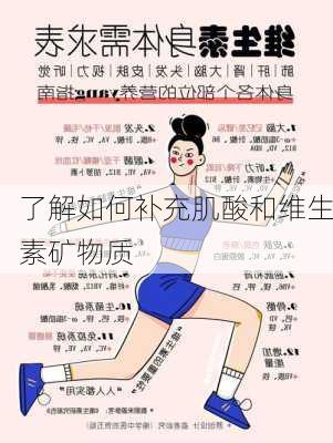 了解如何补充肌酸和维生素矿物质