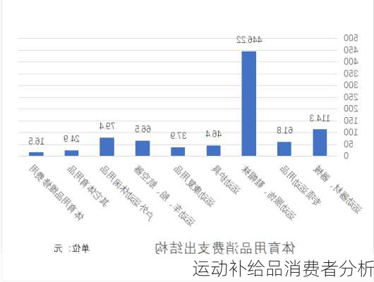 运动补给品消费者分析