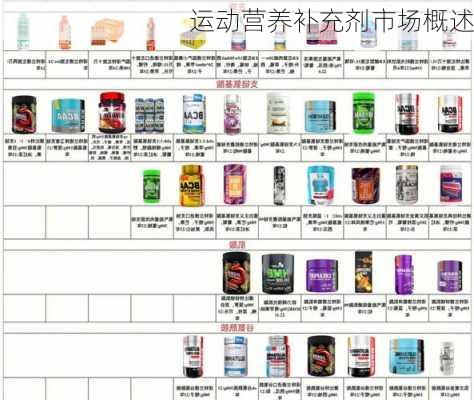 运动营养补充剂市场概述